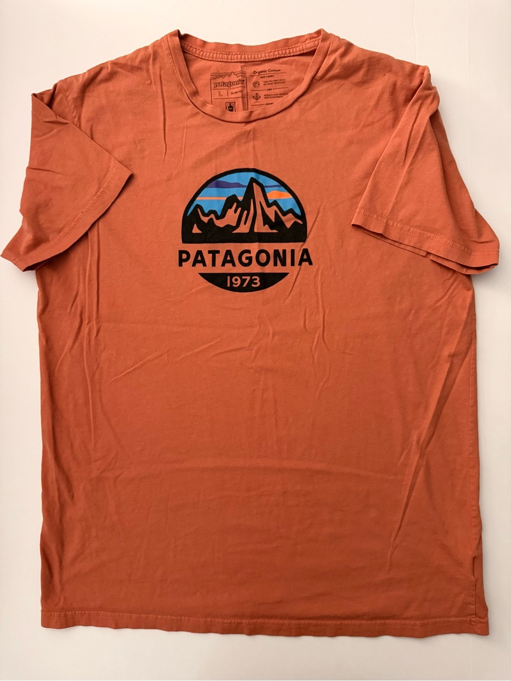 Patagonia Men's Rust Crew Neck Logo T-Shirt large